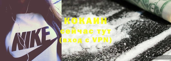 ГАЛЛЮЦИНОГЕННЫЕ ГРИБЫ Абаза
