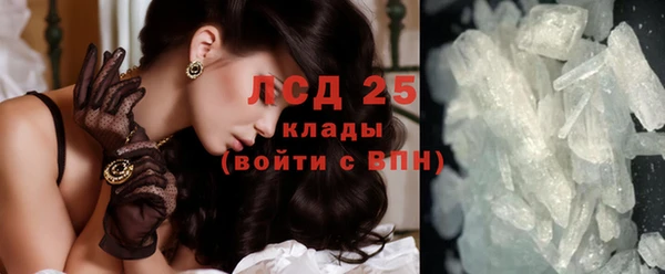 ГАЛЛЮЦИНОГЕННЫЕ ГРИБЫ Абаза