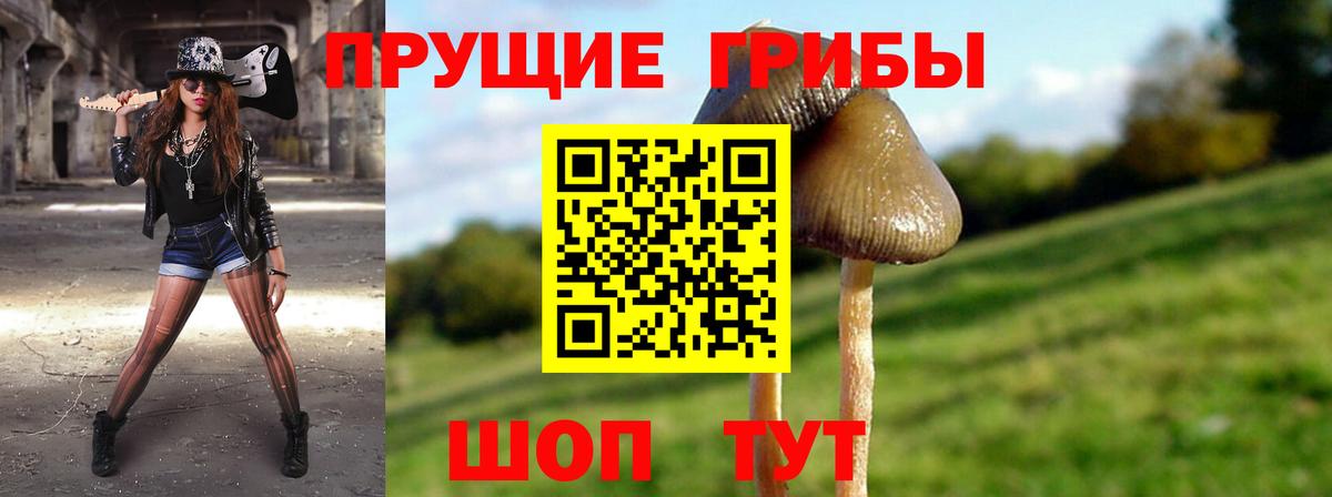 Галлюциногенные грибы MAGIC MUSHROOMS Усть-Лабинск